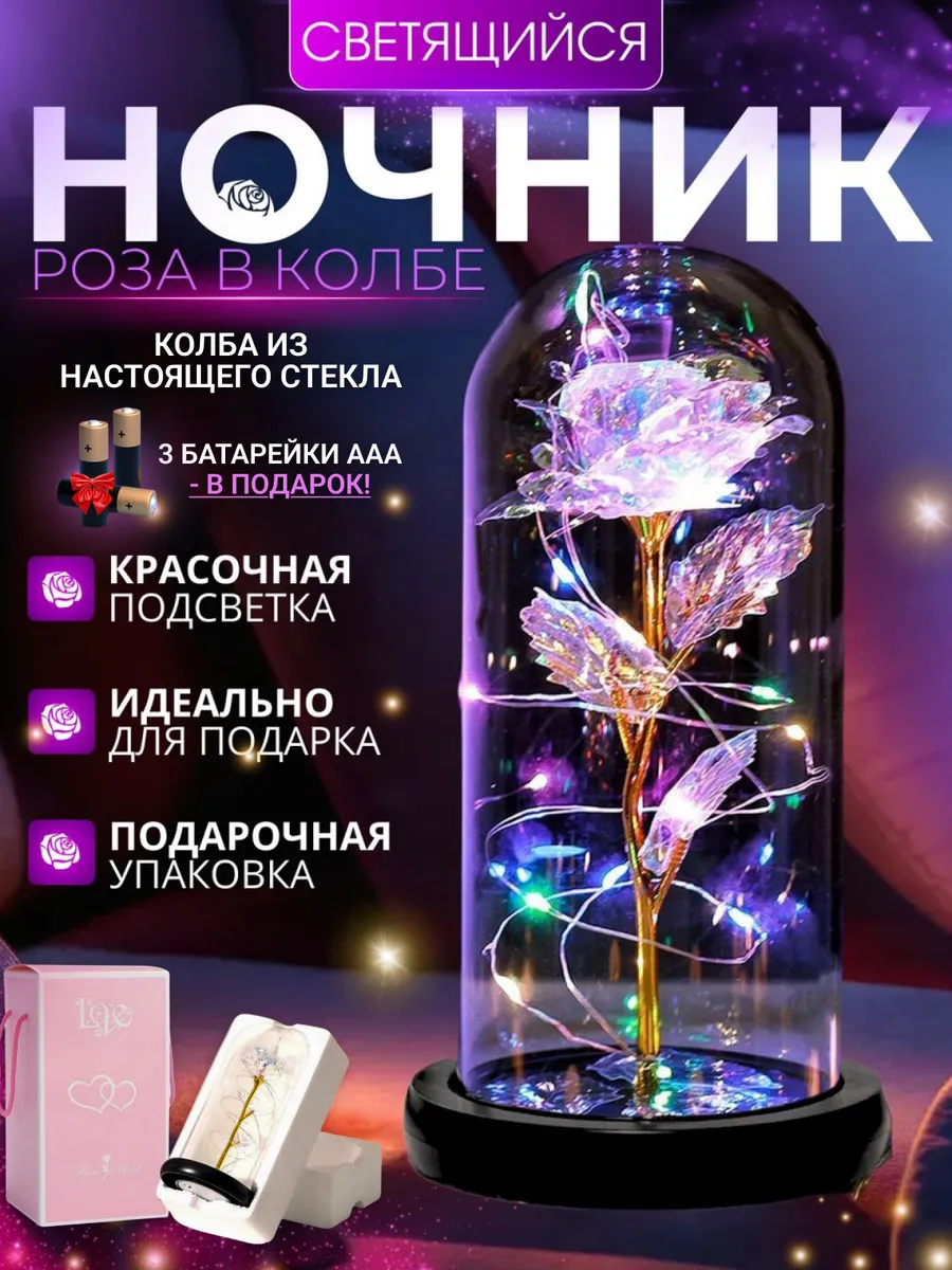 Spa ProBrush