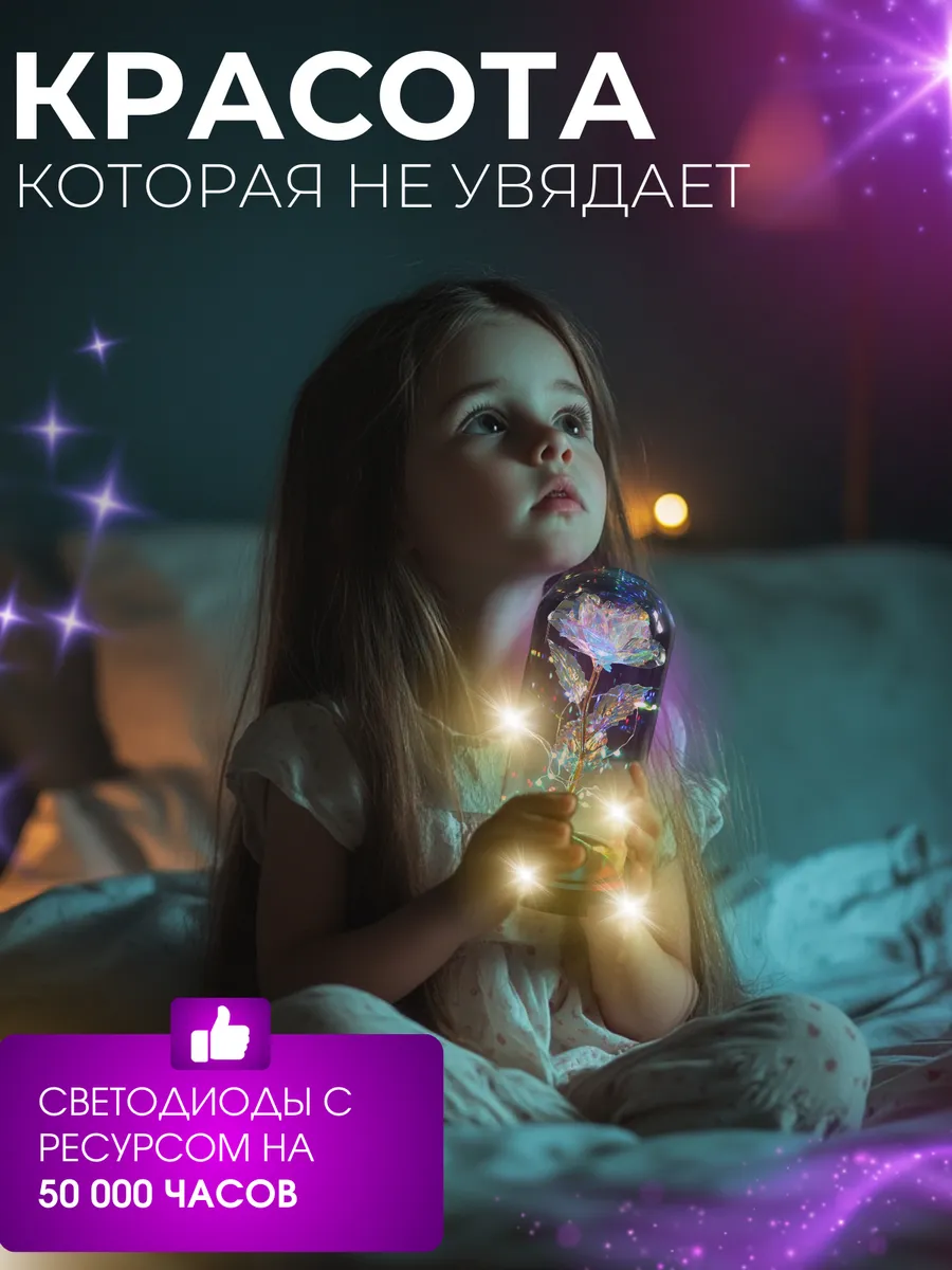 Spa ProBrush